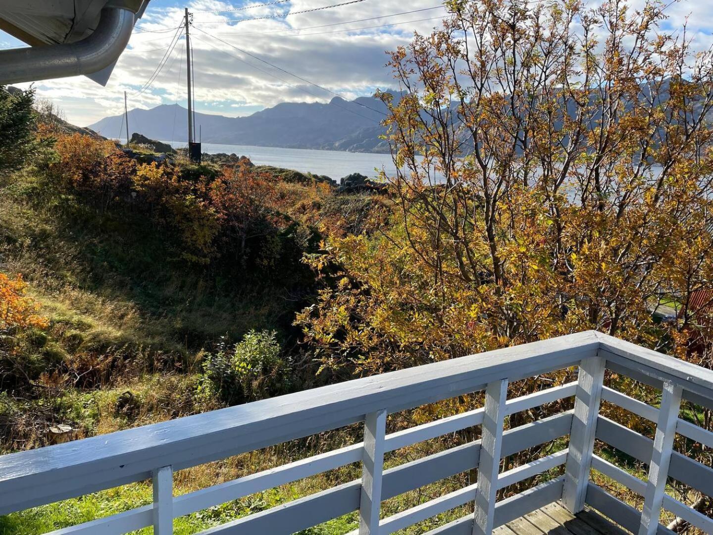 Vettinghytta, Close To The Sea With Amazing View. Gravdal  Экстерьер фото
