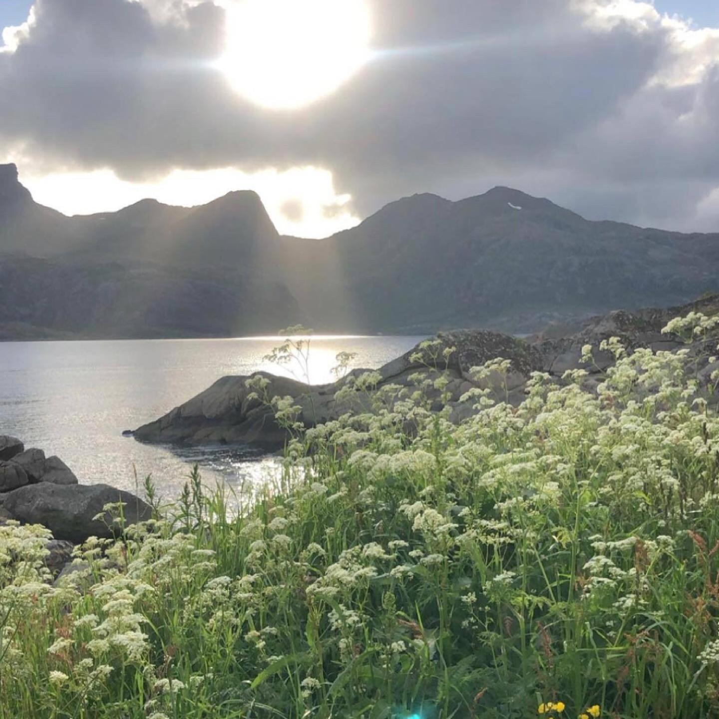 Vettinghytta, Close To The Sea With Amazing View. Gravdal  Экстерьер фото